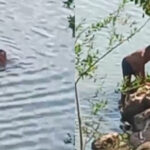 VÍDEO: Homem encontra corpo no Rio Itacaiunas e quase se afoga ao tentar resgate